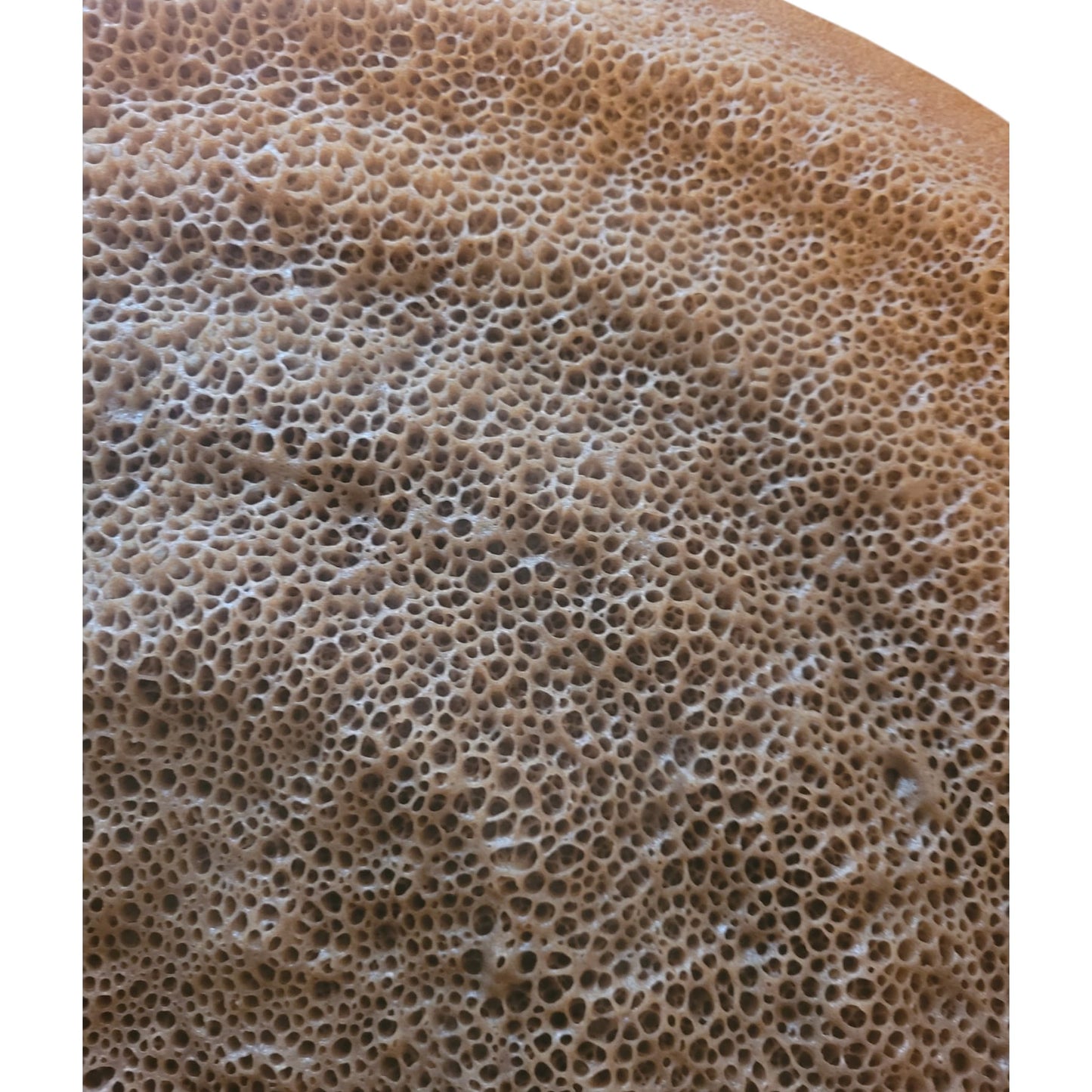 Injera – Homemade Habesha Teff Flatbread | Traditional Ethiopian & Eritrean Sourdough (Enjera)
